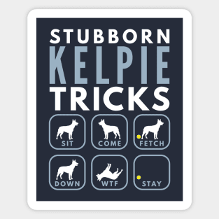 Stubborn Australian Kelpie Tricks - Dog Training Magnet